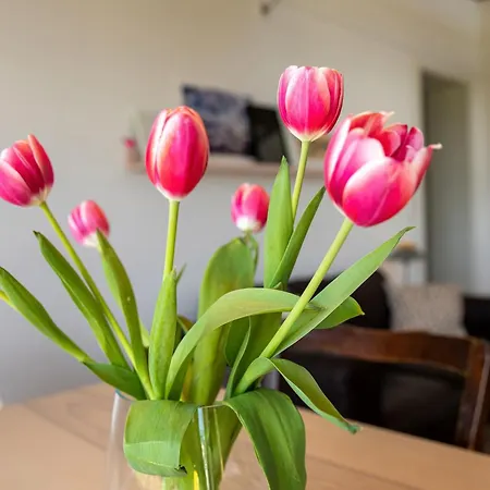 Semesterbostad Ferienhaus, Buttje, Ruegen Lancken-Granitz